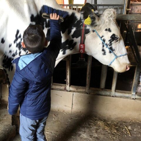 Atelier Extraordinaire — à la ferme