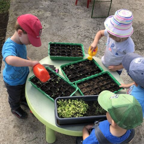 Atelier en plein air — jardinage