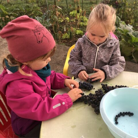 Atelier en plein air — activité cuisine