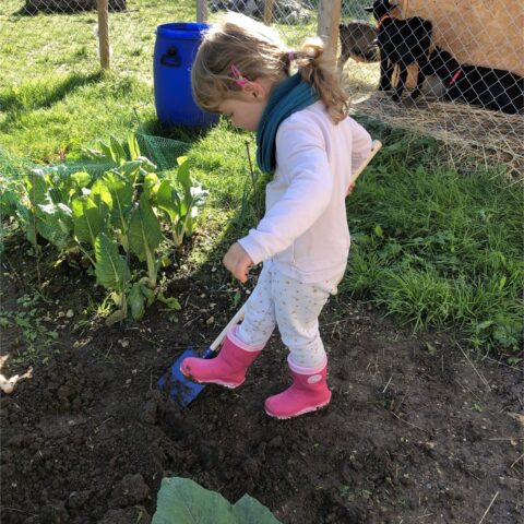 Atelier en plein air — jardinage